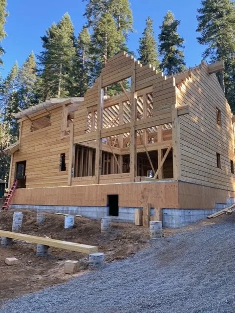 A gable end of squared-log walls with the second storey's stud framing rising open to the sky, an orange ladder leaning at the left and firs standing behind.